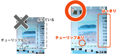 ハッキリと写っている